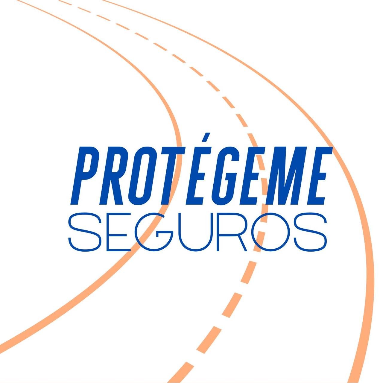 protegemeseguros.com.mx